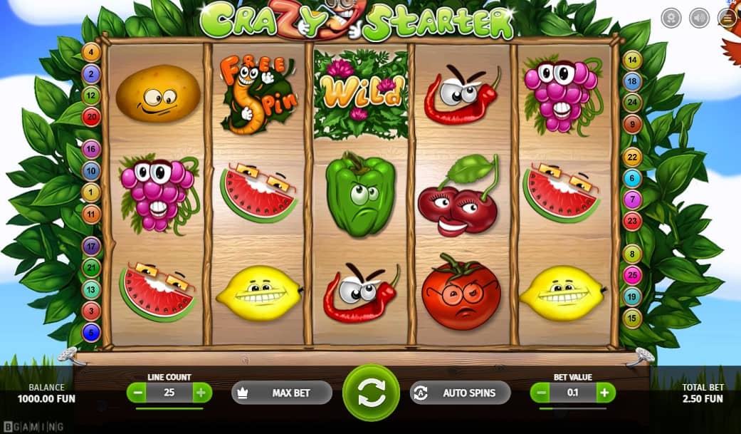 crazy starter slot