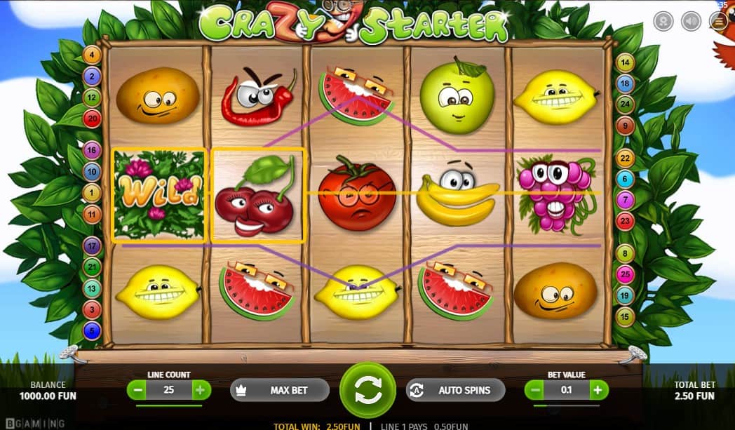 crazy starter slot win